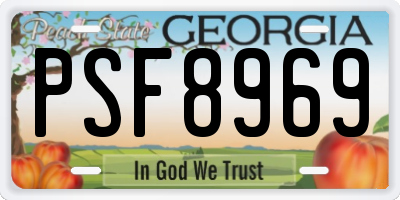 GA license plate PSF8969
