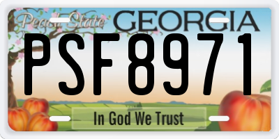 GA license plate PSF8971