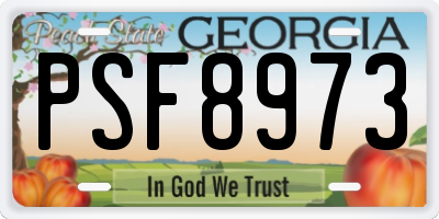 GA license plate PSF8973