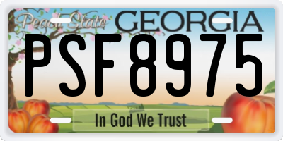 GA license plate PSF8975