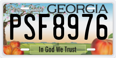 GA license plate PSF8976