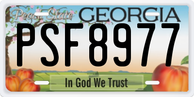 GA license plate PSF8977