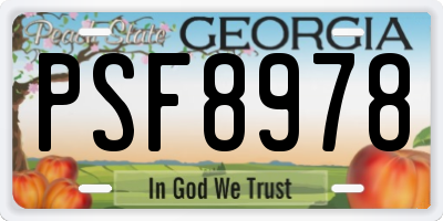 GA license plate PSF8978