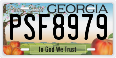 GA license plate PSF8979