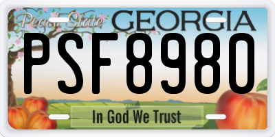 GA license plate PSF8980