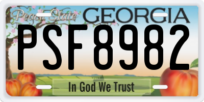 GA license plate PSF8982