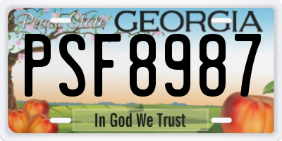 GA license plate PSF8987