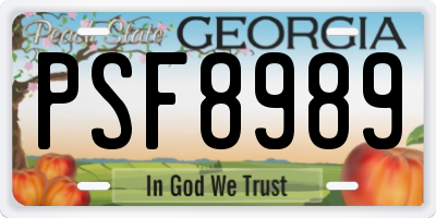 GA license plate PSF8989