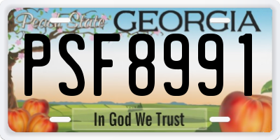 GA license plate PSF8991