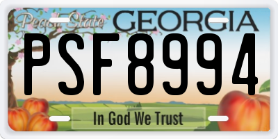 GA license plate PSF8994