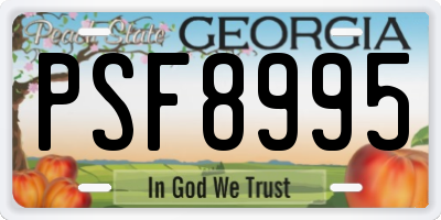 GA license plate PSF8995