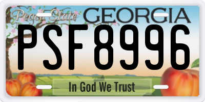 GA license plate PSF8996