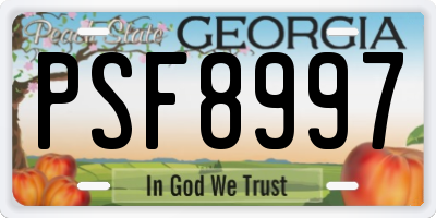 GA license plate PSF8997