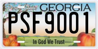 GA license plate PSF9001