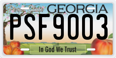 GA license plate PSF9003