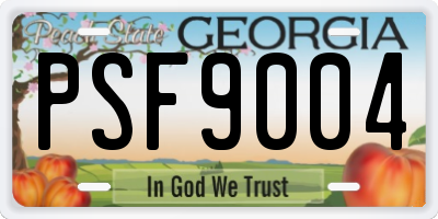 GA license plate PSF9004