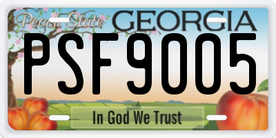 GA license plate PSF9005