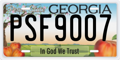 GA license plate PSF9007