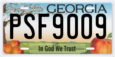 GA license plate PSF9009