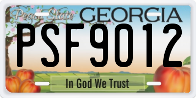 GA license plate PSF9012