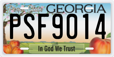 GA license plate PSF9014