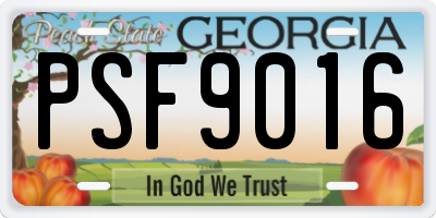 GA license plate PSF9016