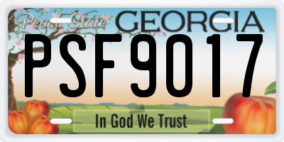 GA license plate PSF9017