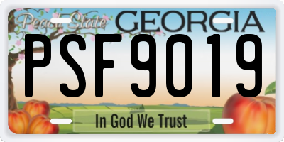 GA license plate PSF9019