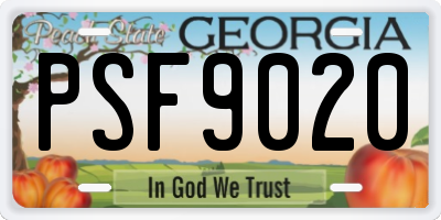 GA license plate PSF9020