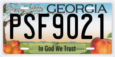 GA license plate PSF9021