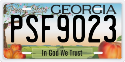GA license plate PSF9023