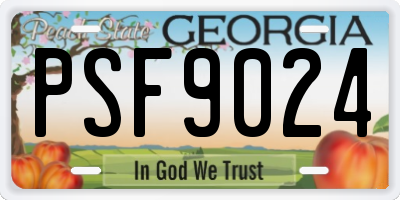 GA license plate PSF9024
