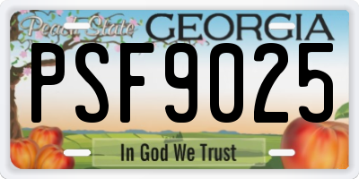 GA license plate PSF9025