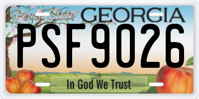 GA license plate PSF9026