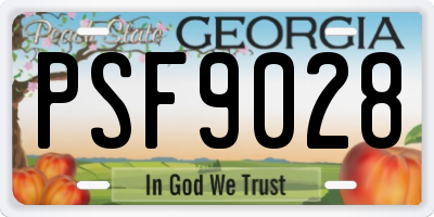GA license plate PSF9028