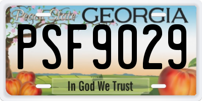 GA license plate PSF9029