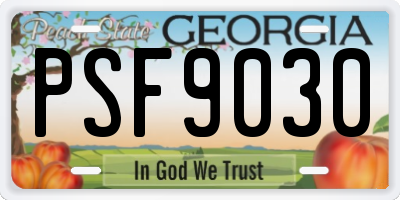 GA license plate PSF9030