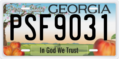 GA license plate PSF9031
