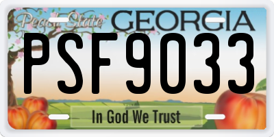 GA license plate PSF9033