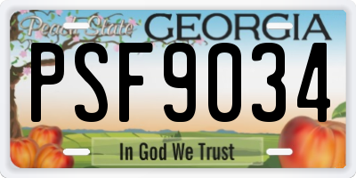 GA license plate PSF9034