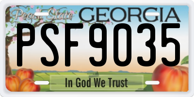 GA license plate PSF9035