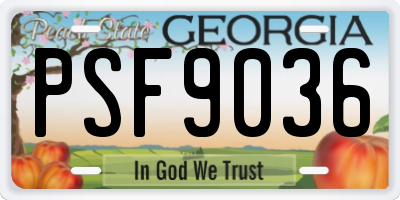 GA license plate PSF9036