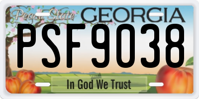 GA license plate PSF9038