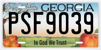 GA license plate PSF9039