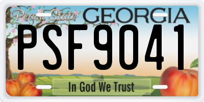 GA license plate PSF9041