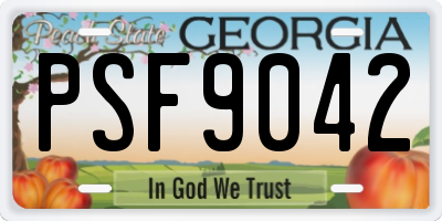 GA license plate PSF9042
