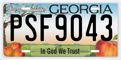GA license plate PSF9043