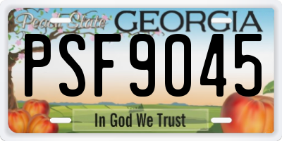 GA license plate PSF9045