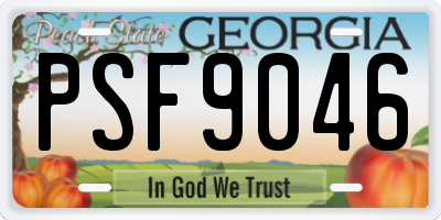 GA license plate PSF9046
