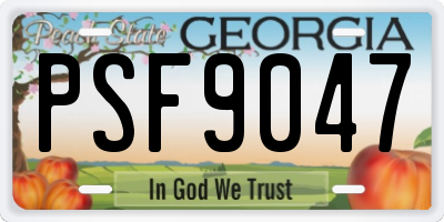 GA license plate PSF9047